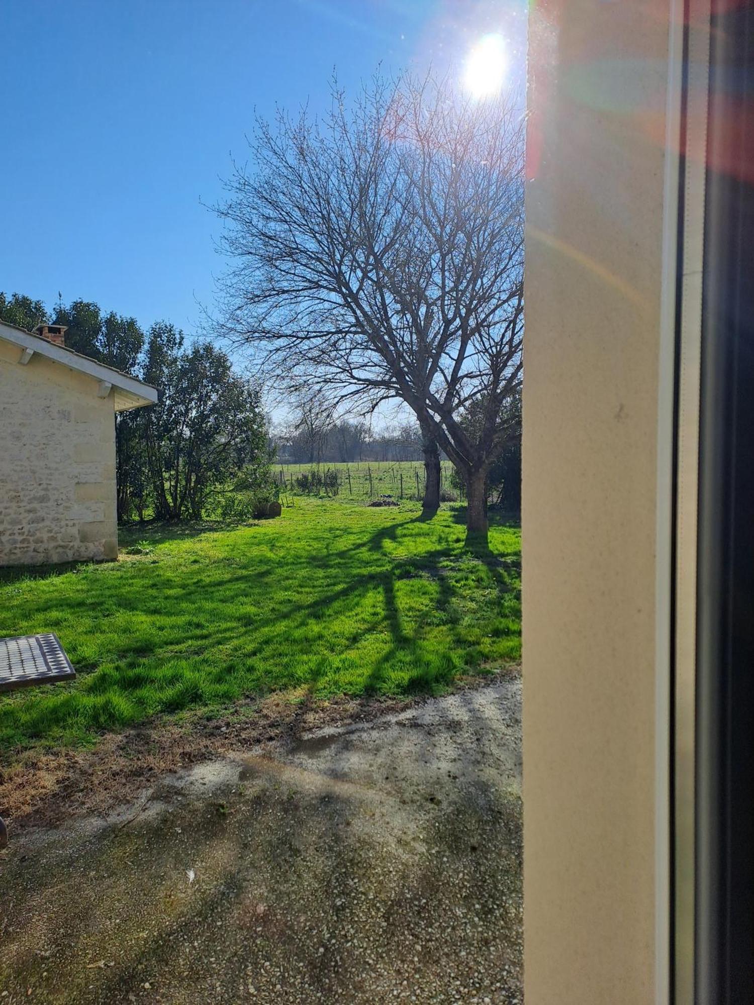 Chambres d'Hôtes Château Pierre de Montignac Civrac-en-Médoc Exterior foto